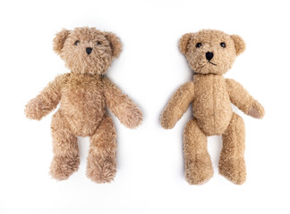 Zwei Teddybären liegend auf weissem Hintegrund
