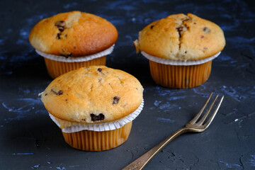 Homemade Chocolate Chip Muffins