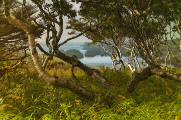 Landscape the bay in Shikotan Island, Kuril Islands, panorama.
