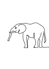 One continuous line drawing, elephant was walking looking for something.