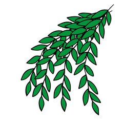Vector Illustration of branches with green leaves isolated on a white background
