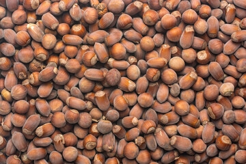 Abstract background from hazel nuts.