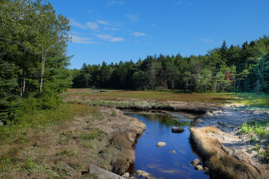 Low Tide exposing rocks, boulders and fallen trees in a Maine Marsh