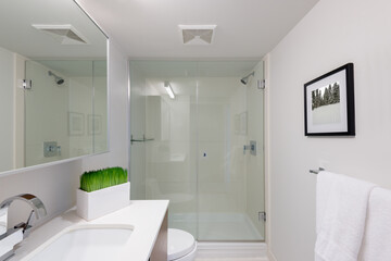 Fototapeta na wymiar Interior design of a spacious and elegant bathroom