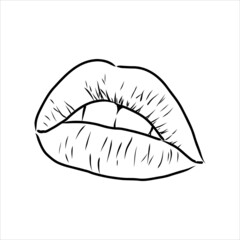 Sexy plump lips kiss pink watercolor and line art, Hand drawn vector illustration isolated
