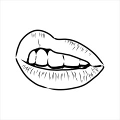 Sexy plump lips kiss pink watercolor and line art, Hand drawn vector illustration isolated