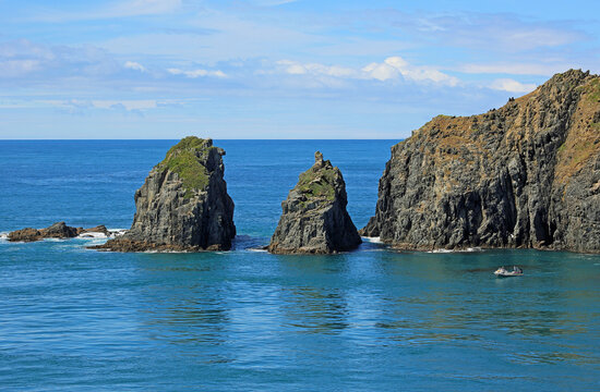 Entering Tory Channel, New Zealand