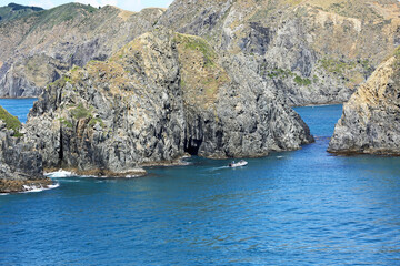 Tory Channel cliffs, New Zealand © jerzy