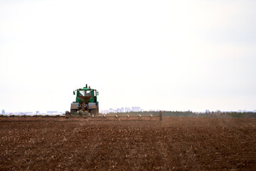 Fototapeta premium The tractor is burying the field before the spring sowing of grain. The city is visible on the horizon. Copy space.