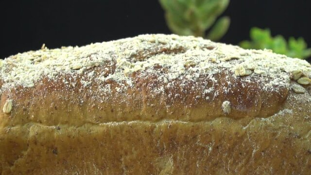 Bread