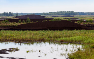 the flooded area where peat is extracted