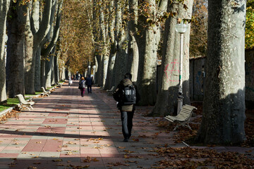 paseantes y cicistas a primera hora de la tarde de otoño centro Vitoria (País Vasco) España