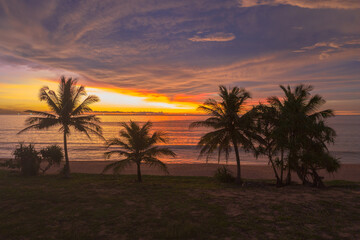 Fototapeta na wymiar aerial view scenery sunset above coconut trees during colorful .cloud in sunset on Karon beach Phuket Thailand. .Scene of Colorful red light in the sky background.