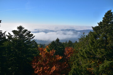 Bayrischer Wald &uuml;ber den Wolken