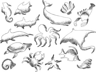 Vector vintage sea ​​animals isolated. Outline clipart on transparent background. Underwater set. Seashells,fish,dolphin,octopus,starfish,scallop,whale,crab. Template print for clothes,textiles