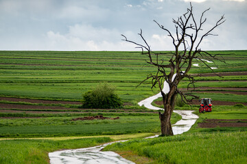 Krajobraz, lasy, łąki