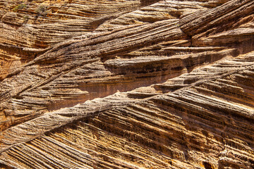 Background of eroded layers of sedimentary rock in Utah USA Zion National Park 0 originally a...