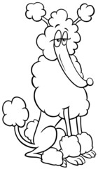 purebred poodle dog cartoon animal character coloring book page