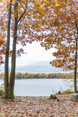 An autumn walk in the local recreation area Sechs Seenplatte Duisburg, North Rhine-Westphalia