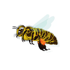 colored bee is one 