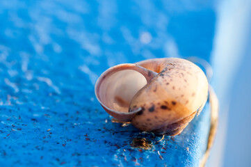 jesienią, jesień, pora roku, klimat, kolor, złota © yanek