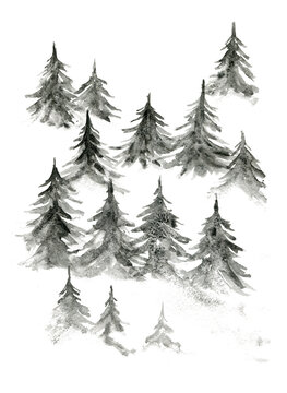 Beautiful watercolor background with gray coniferous fir forest. Mysterious monochrome pine trees illustration for winter Christmas design, isolated on white background