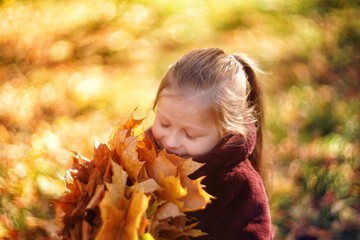 Portrait of a beautiful girl in a brown fur coat, in the hands of a girl autumn maple leaves,...