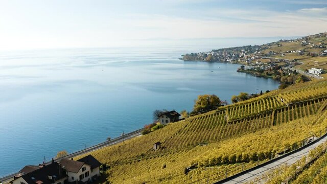 Les vignes de lavaux vues du ciel. Vue a&eacute;rienne en drone de bourg-en-lavaux et du lac l&eacute;man en 4k. 
