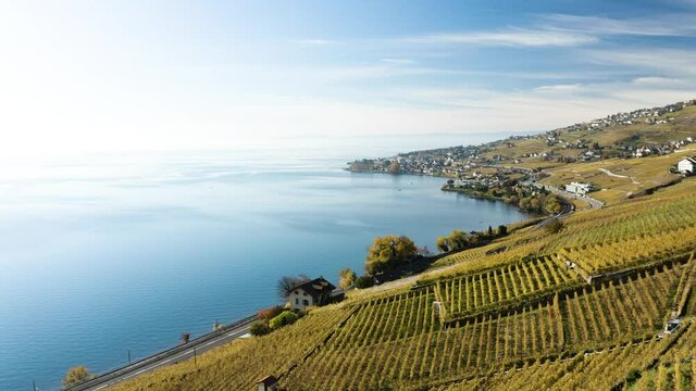 Les vignes de lavaux vues du ciel. Vue a&eacute;rienne en drone de bourg-en-lavaux et du lac l&eacute;man en 4k. 