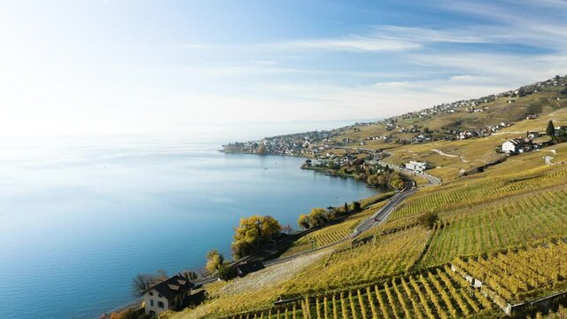 Les vignes de lavaux vues du ciel. Vue a&eacute;rienne en drone de bourg-en-lavaux et du lac l&eacute;man en 4k. 