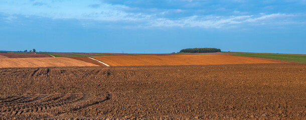 panoramic view of plowed field and soybean brown field in autumn , patchwork and field lines, geometry