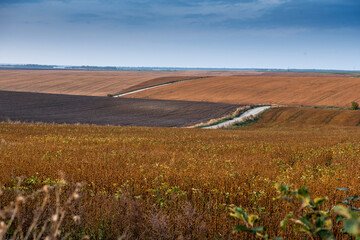 autumn landscape panorama with fields, soybeans, plowed land, geometry