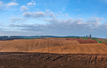 wavy hills of plowed lands and colored lines of fields in autumn