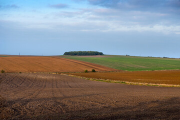 Fototapeta na wymiar wavy hills of plowed lands and colored lines of fields in autumn, geometry