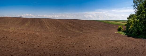 arable with shaded trees and an agrarian landscape of the springtime - obrazy, fototapety, plakaty