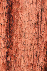 Seamless texture of old wood with cracks and pale red paint. Remains of old paint on the painted wood surface.