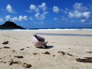 Obraz premium beach and sea