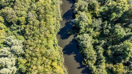 Luftaufnahme von einem Wald mit einem Fluss in der Mitte