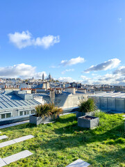 Fototapeta premium Toit terrasse avec vue sur Montmartre à Paris