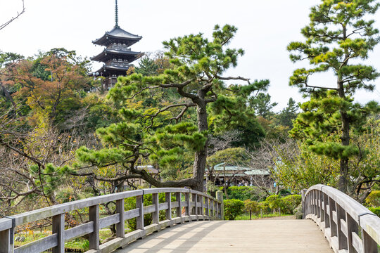 scenery of empty wooden bridge, pine trees, and buddhism tower in autumn japanese garden