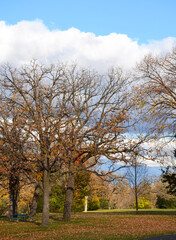 Fototapeta premium Autumn landscape in a park
