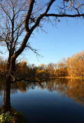 Colorful autumn landscape with a lake