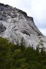 Yosemite National Park's mountains and forests