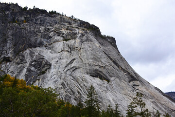 Yosemite National Park's mountains and forests