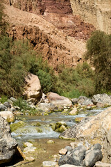 Wadi Zarqa trail near Dead sea - Jordan
