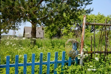 Naklejka premium Belarusian village. Country house. Compound. Nature of Belarus