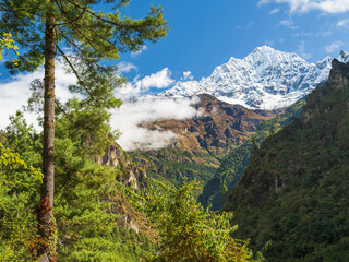 view to snow peak and forest valley in sunshine day in Nepal