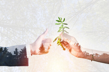 Double exposure of human hands for collaboration against climate change.