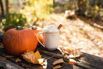 Cup of delicious coffee in fall garden at sunny day, wooden table with cappuccino mug pumpkins and yellow maple leafs, autumn still life and cozy sunny days concept