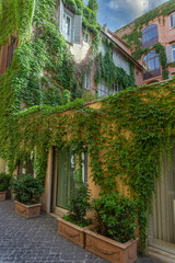 house with many green plants from the city center